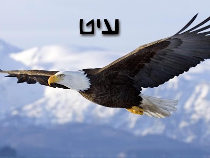 Free Download חיות בתמונות - עולם החי לילדים APK for PC