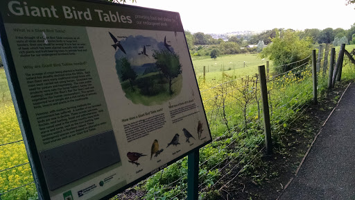 Giant Bird Tables