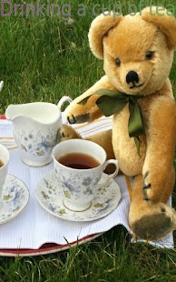 Teddy Bears In Action - náhled