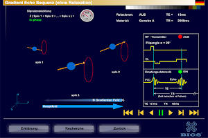 MRI Pulse Sequence +Relaxation APK צילום מסך #3