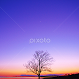 Welch Park with Venus & Waxing Crescent  4037 by Jim Suter -  