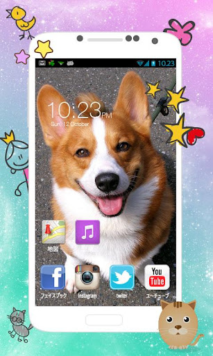 Cute Corgi wallpaper 2015