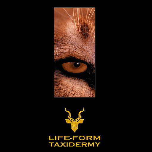 Life-Form Taxidermy LOGO-APP點子