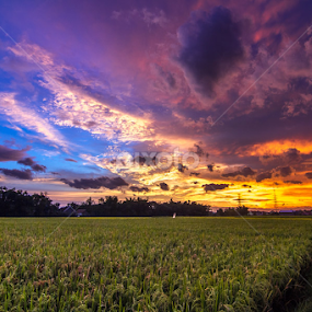 full collour by Shandy Abd Azis M - Landscapes Prairies, Meadows & Fields