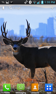 Free Download Deer Hunters Live Wallpaper APK