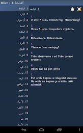 Kur'an na bosanskom poster 12