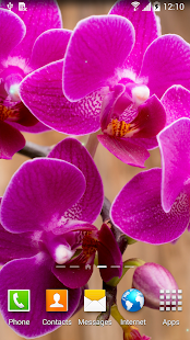 Orchids Wallpaper(圖4)-速報App