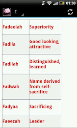 Islamic Girls Names + Meaning poster 2