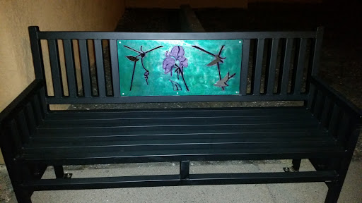 2nd And Lewis Painted Bench