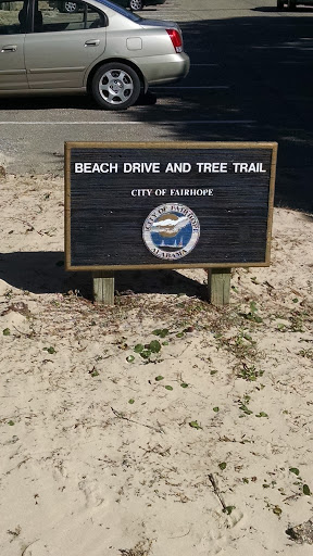 Fairhope's Beach Drive And Tree Trail