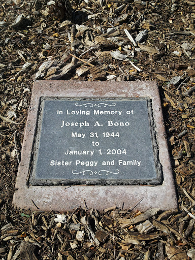Joseph A. Bono Memorial Tree
