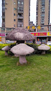 好大的蘑菇