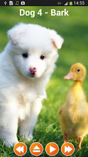 Dog Sounds Ringtones(圖3)-速報App