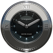 silver snake clock widget