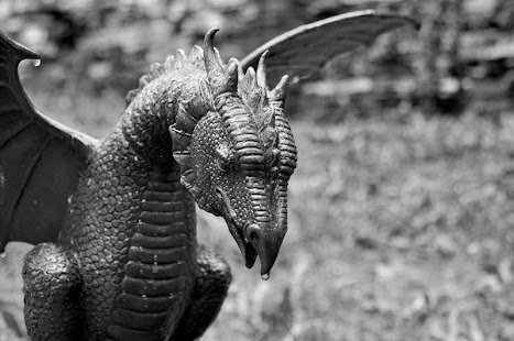 Dragon Screenshots 1