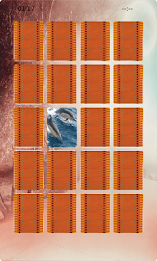 Dolphin Matching poster 2