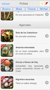 Free iSetas APK