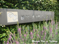 日出大地的乳酪蛋糕