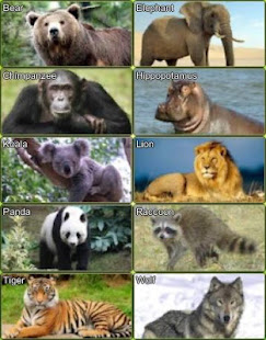 Animal Sounds(圖2)-速報App