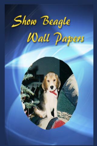 Show Beagles Wall Papers 2013