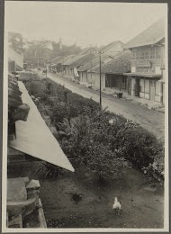 Straat met huizen en een loslopende gevogelte in Tandjoengkarang