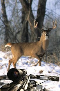 How to mod DEER SEASON HUNTING 2014 patch 1.3 apk for android