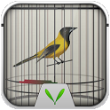 Little Bird Theme-LockerMaster icon