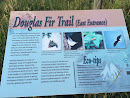 Douglas Fir Trail