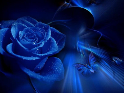 青い 薔薇 壁紙 Iphone の最高のコレクション すべての美しい花の画像