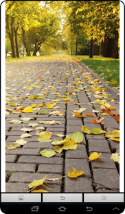 How to mod Live Autumn Wallpaper 1.0 unlimited apk for bluestacks