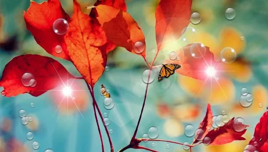 Red Leaf for Galaxy S4(圖4)-速報App