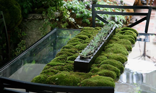 Small Garden Ideas(圖4)-速報App