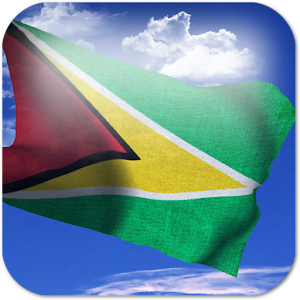 3D Guyana Flag