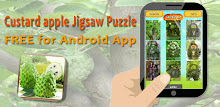 Custard apple Jigsaw Puzzles APK