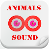 Animal Sound & Photos for Kids