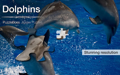Dolphin Jigsaw Puzzles Demo poster 9