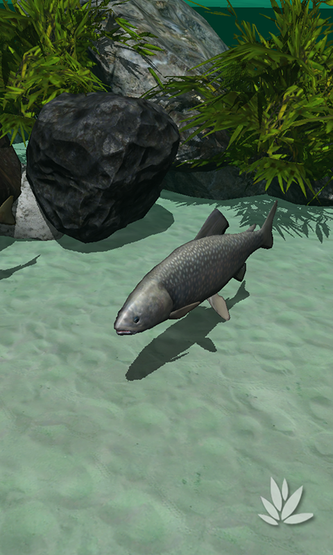 Trout Streams Screen 3