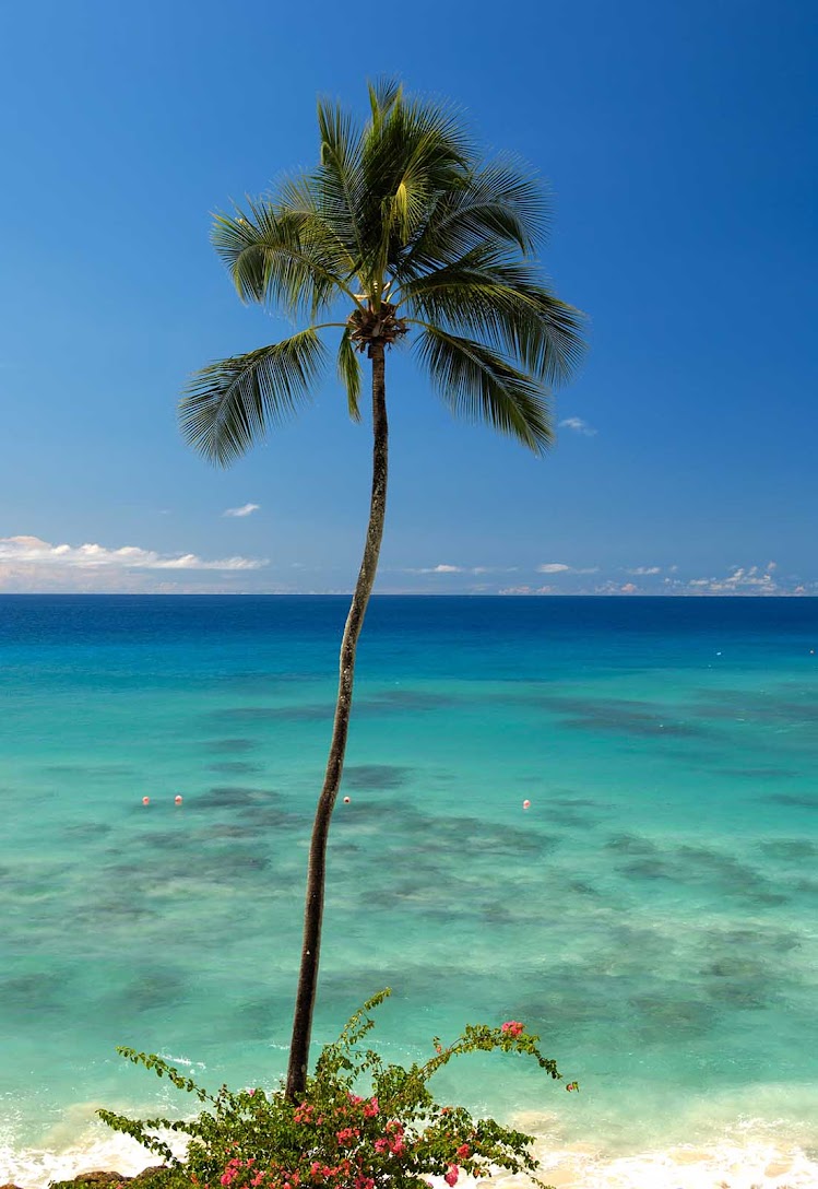 Cobblers Cove is on the west coast of Barbados.