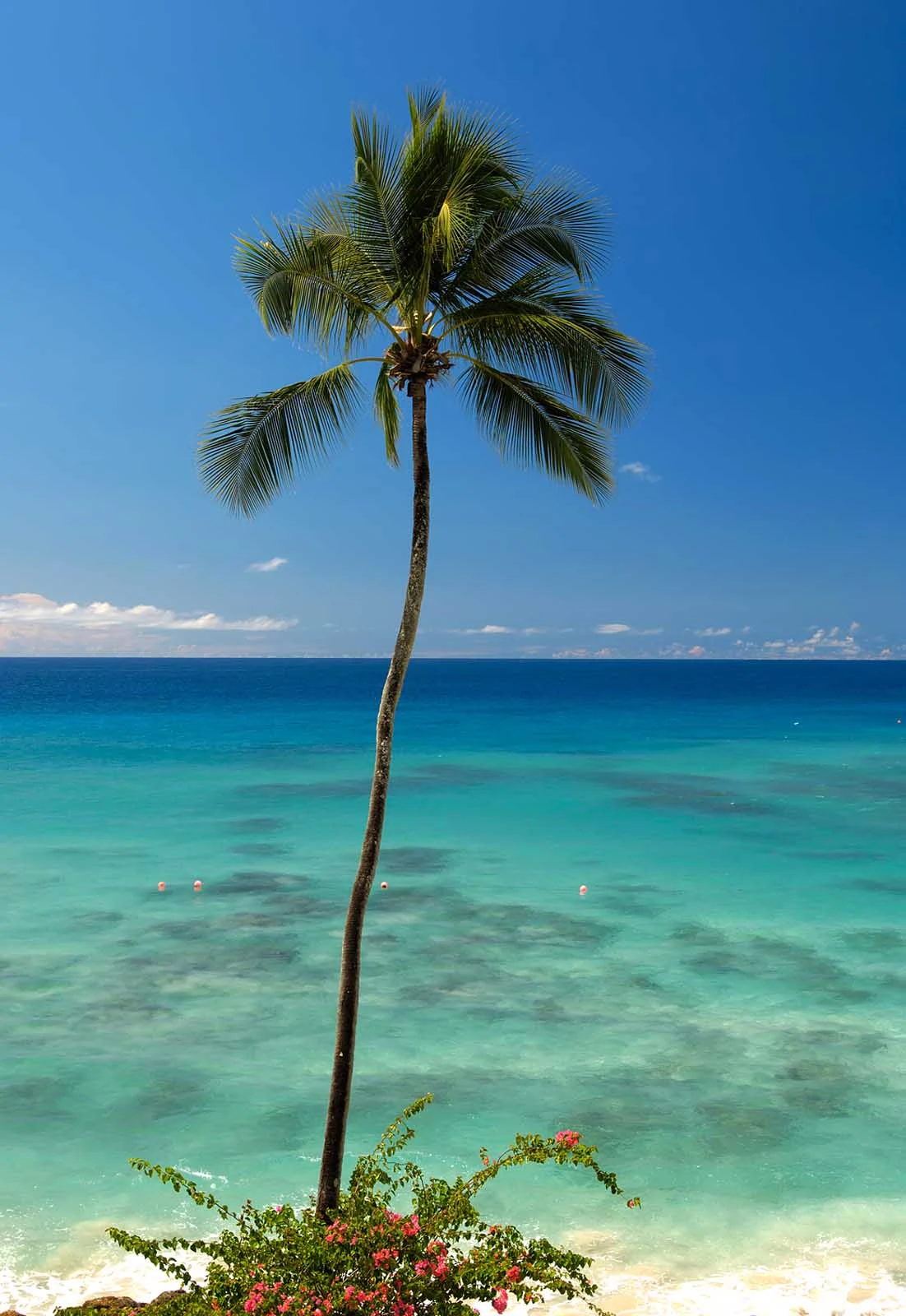 Cobblers-Cove-Barbados - Cobblers Cove is on the west coast of Barbados.