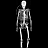 Halloween Wallpaper – Skelly logo