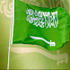 Saudi Sites 1.0 (Ar)
