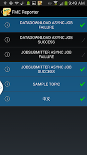 FME Reporter Screenshots 1