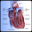 Surgical related cardiac risk logo