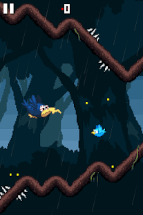 Lastest Disturbed Bird! APK for Android