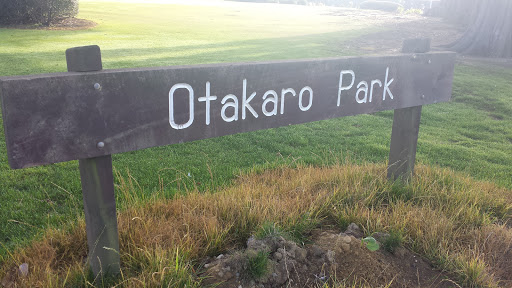 Otakaro Park - Don St Entrance