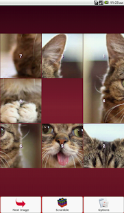 Cats Puzzle Screenshots 5