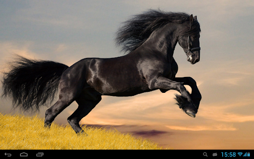 Horses Live Wallpaper Screenshots 4
