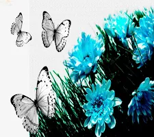 Butterfly Wallpapers Share screenshot