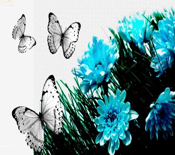 Butterfly Wallpapers Share