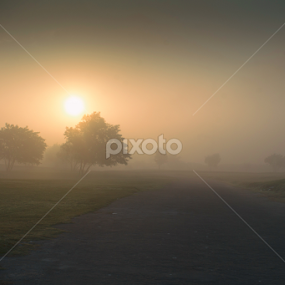 Foggy Morning by Naser Eid - Landscapes Prairies, Meadows & Fields